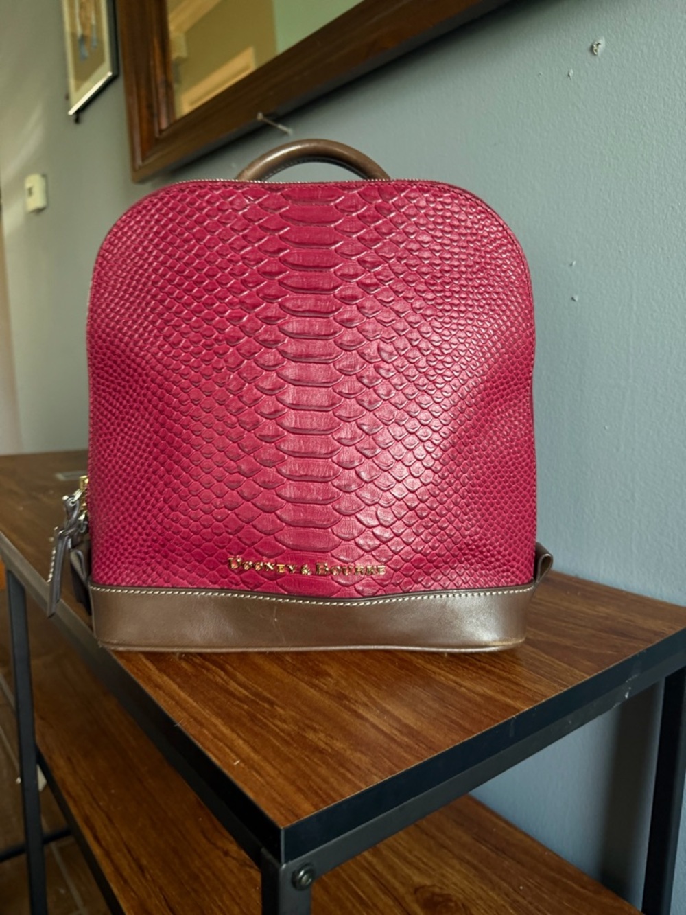 Dooney & bourke Backpack